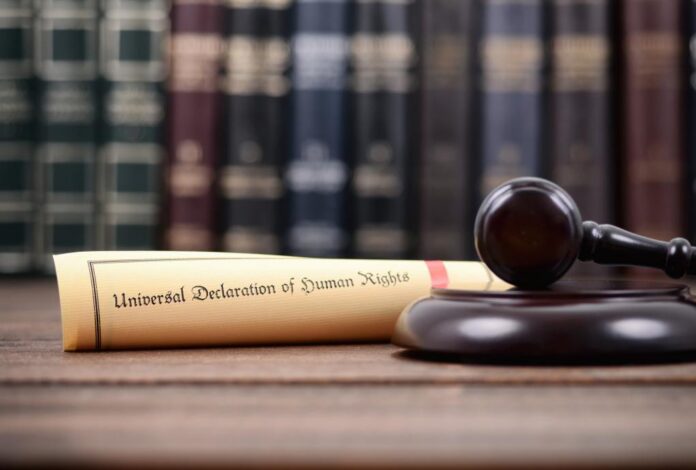 shutterstock_1036749373