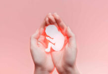 Illinois’ $10M Abortion Fund Raises Eyebrows Hands holding a paper cutout of a fetus against a pink background