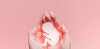 Hands holding a paper cutout of a fetus against a pink background
