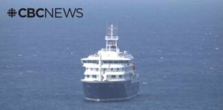 Disaster at Sea: Deadly Virus Strikes Dutch Ship