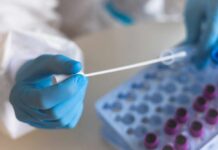 Healthcare professional holding a swab next to a tray of sample vials