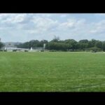 Vandals burn '8647' into the National Mall on a chaotic day in D.C.
