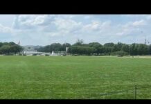Vandals burn '8647' into the National Mall on a chaotic day in D.C.