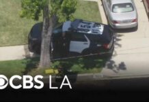 Actor James Handy identified as victim in deadly Tarzana stabbing