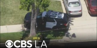 Actor James Handy identified as victim in deadly Tarzana stabbing