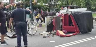 18-year-old tourist killed after being thrown from horse carriage in Central Park