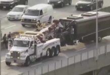 Coach bus in deadly Long Island Expressway crash was taking airline crew to hotel