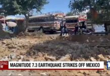 7.3 Quake Sparks Tsunami Warnings Magnitude 7.3 earthquake strikes off Mexico