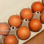 1.6 million eggs recalled after potential salmonella contamination