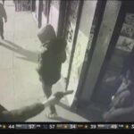 Wild Brawl Erupts Outside Nyc Bodega Before Innocent 12-Year-Old Is Fatally Shot