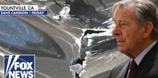 Paul Pelosi faces possible HIT-AND-RUN charge after car crash