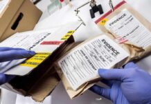 Gloved hands handling labeled evidence bags and boxes