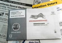 Court Revives USPS Voting Proposal Mail-in ballot envelope and voter information materials