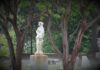 Stone statue of a woman in a cemetery framed by tree trunks