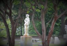 Stone statue of a woman in a cemetery framed by tree trunks
