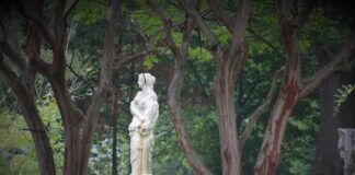 Stone statue of a woman in a cemetery framed by tree trunks