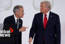 U.S. President Trump pauses 50% tariffs as Canada-U.S. talks continue