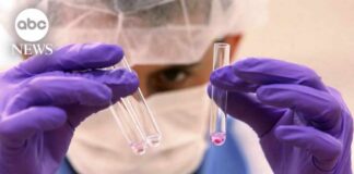 Breakthrough DNA technology identifies 9|11 victim's remains nearly 25-years later