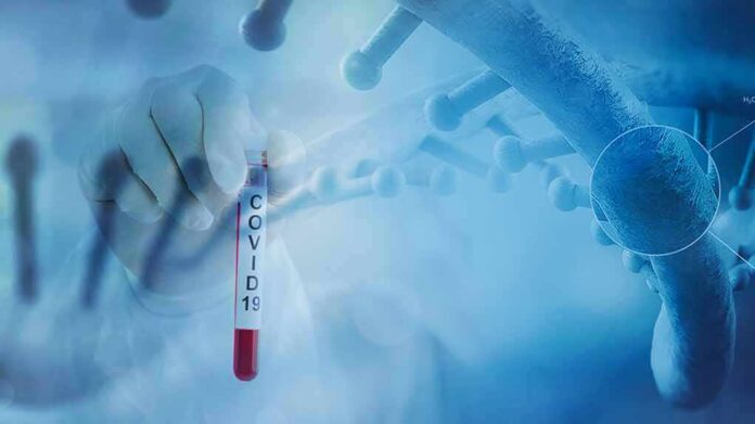 shutterstock_1644575920 Gloved hand holding a COVID-19 test tube beside a stylized DNA helix