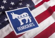 Democratic Party donkey symbol on American flag