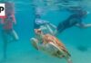 Oceans hit record temperatures amid climate change and El Nino