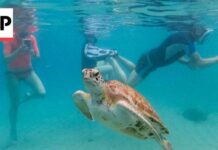 Oceans hit record temperatures amid climate change and El Nino