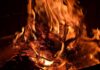 Dry pine branches burning in bright orange flames