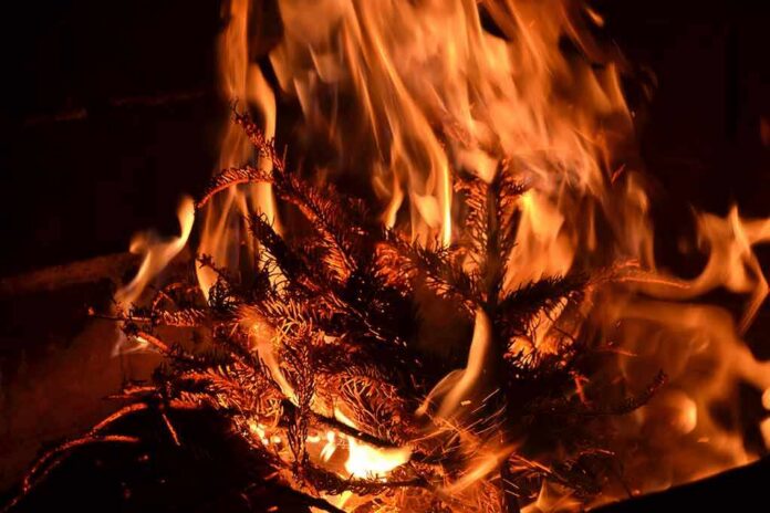 shutterstock_1035622813 Dry pine branches burning in bright orange flames