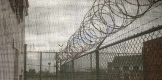 Barbed wire on chain-link fence at a prison yard